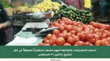 أسعار الخضراوات والفاكهة اليوم تشهد استقراراً ملحوظاً في كفر الشيخ الاثنين 11 أغسطس